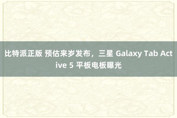 比特派正版 预估来岁发布，三星 Galaxy Tab Active 5 平板电板曝光
