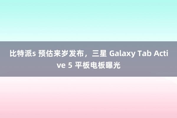 比特派s 预估来岁发布，三星 Galaxy Tab Active 5 平板电板曝光
