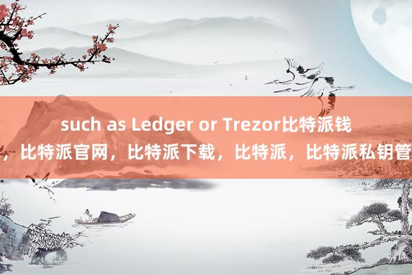 such as Ledger or Trezor比特派钱包，比特派官网，比特派下载，比特派，比特派私钥管理