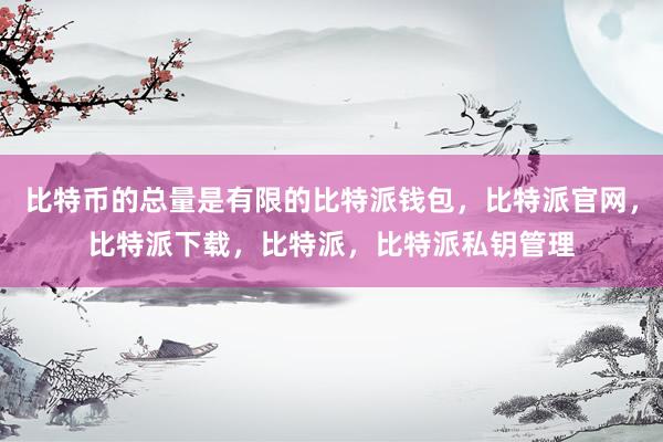 比特币的总量是有限的比特派钱包，比特派官网，比特派下载，比特派，比特派私钥管理