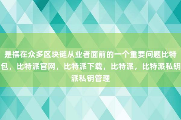 是摆在众多区块链从业者面前的一个重要问题比特派钱包，比特派官网，比特派下载，比特派，比特派私钥管理