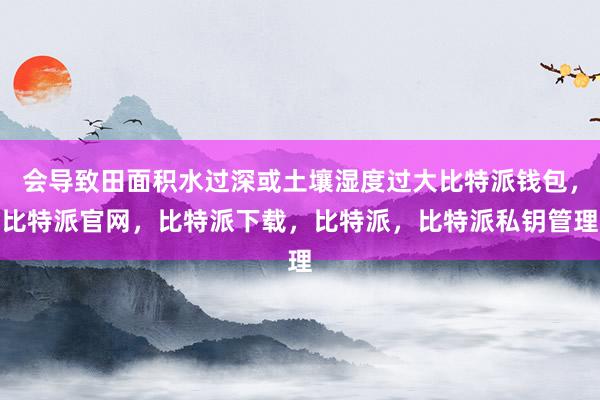 会导致田面积水过深或土壤湿度过大比特派钱包，比特派官网，比特派下载，比特派，比特派私钥管理