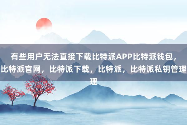 有些用户无法直接下载比特派APP比特派钱包，比特派官网，比特派下载，比特派，比特派私钥管理