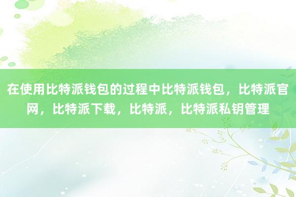 在使用比特派钱包的过程中比特派钱包，比特派官网，比特派下载，比特派，比特派私钥管理