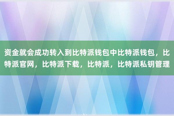 资金就会成功转入到比特派钱包中比特派钱包，比特派官网，比特派下载，比特派，比特派私钥管理