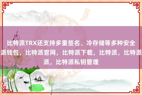 比特派TRX还支持多重签名、冷存储等多种安全功能比特派钱包，比特派官网，比特派下载，比特派，比特派私钥管理