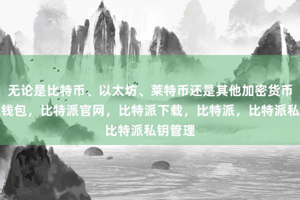 无论是比特币、以太坊、莱特币还是其他加密货币比特派钱包，比特派官网，比特派下载，比特派，比特派私钥管理