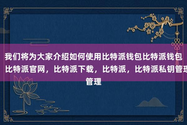 我们将为大家介绍如何使用比特派钱包比特派钱包，比特派官网，比特派下载，比特派，比特派私钥管理