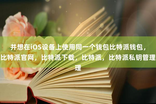 并想在iOS设备上使用同一个钱包比特派钱包，比特派官网，比特派下载，比特派，比特派私钥管理