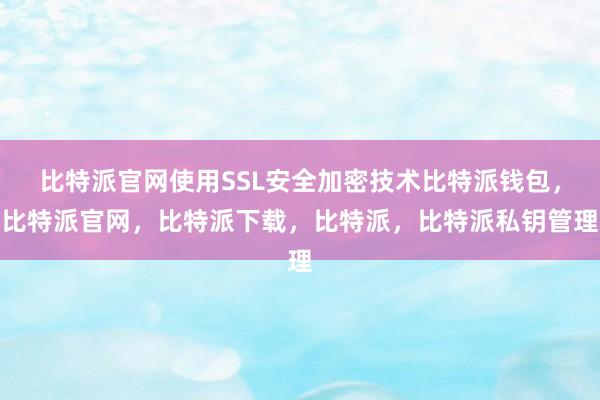 比特派官网使用SSL安全加密技术比特派钱包，比特派官网，比特派下载，比特派，比特派私钥管理