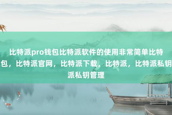 比特派pro钱包比特派软件的使用非常简单比特派钱包，比特派官网，比特派下载，比特派，比特派私钥管理