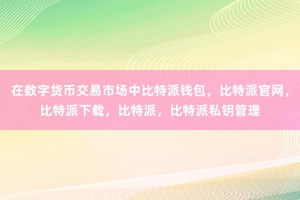 在数字货币交易市场中比特派钱包，比特派官网，比特派下载，比特派，比特派私钥管理