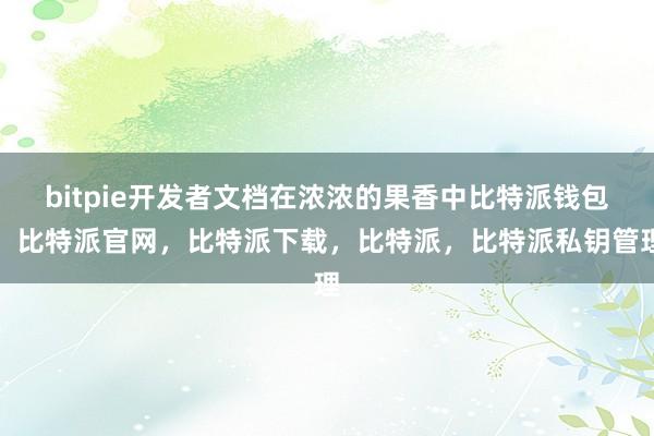 bitpie开发者文档在浓浓的果香中比特派钱包，比特派官网，比特派下载，比特派，比特派私钥管理