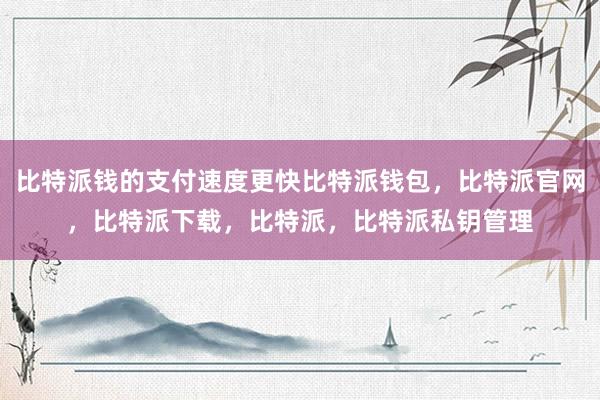 比特派钱的支付速度更快比特派钱包，比特派官网，比特派下载，比特派，比特派私钥管理