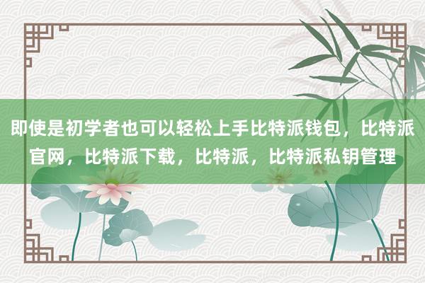 即使是初学者也可以轻松上手比特派钱包，比特派官网，比特派下载，比特派，比特派私钥管理