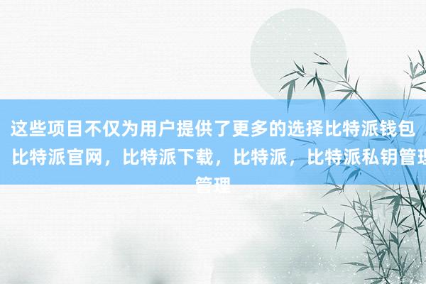 这些项目不仅为用户提供了更多的选择比特派钱包，比特派官网，比特派下载，比特派，比特派私钥管理