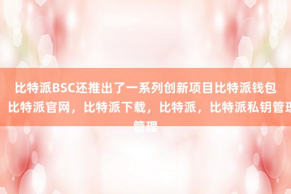 比特派BSC还推出了一系列创新项目比特派钱包，比特派官网，比特派下载，比特派，比特派私钥管理