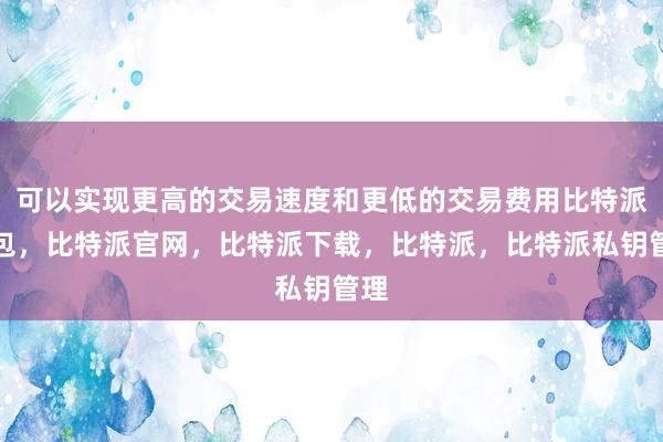 可以实现更高的交易速度和更低的交易费用比特派钱包，比特派官网，比特派下载，比特派，比特派私钥管理