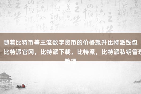 随着比特币等主流数字货币的价格飙升比特派钱包，比特派官网，比特派下载，比特派，比特派私钥管理