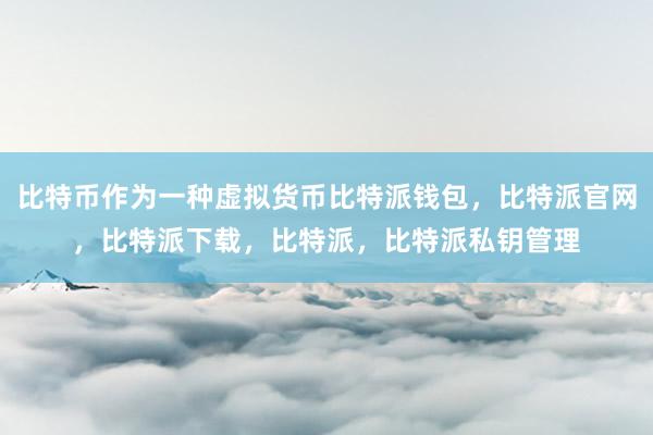 比特币作为一种虚拟货币比特派钱包，比特派官网，比特派下载，比特派，比特派私钥管理