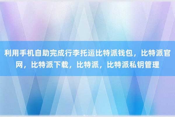 利用手机自助完成行李托运比特派钱包，比特派官网，比特派下载，比特派，比特派私钥管理