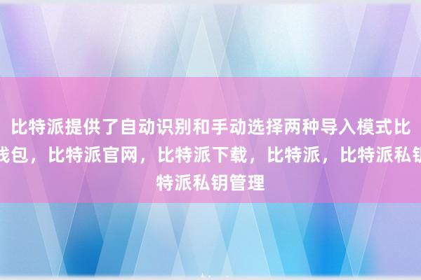 比特派提供了自动识别和手动选择两种导入模式比特派钱包，比特派官网，比特派下载，比特派，比特派私钥管理