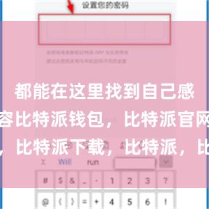 都能在这里找到自己感兴趣的内容比特派钱包，比特派官网，比特派下载，比特派，比特派私钥管理