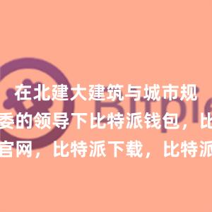 在北建大建筑与城市规划学院党委的领导下比特派钱包，比特派官网，比特派下载，比特派，比特派私钥管理