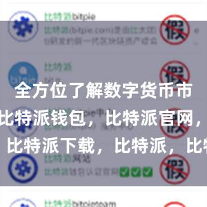 全方位了解数字货币市场的走势比特派钱包，比特派官网，比特派下载，比特派，比特派私钥管理